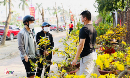 Nhộn nhịp thị trường hoa ngày Tết ở Thành phố Vinh