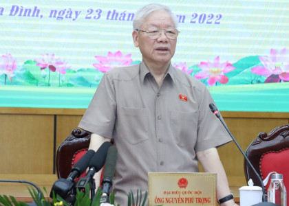 Tổng bí thư Nguyễn Phú Trọng: 'Phải cắt bỏ một vài cành cây sâu mọt để cứu cả cây'
