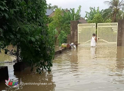 Hưng Nguyên: 280 hộ dân bị ngập lụt