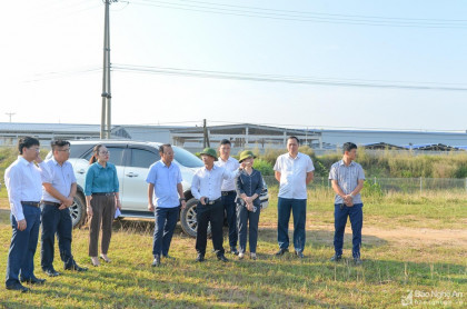 HĐND tỉnh giám sát về thu hồi đất, chuyển đổi mục đích sử dụng đất tại huyện Nghi Lộc