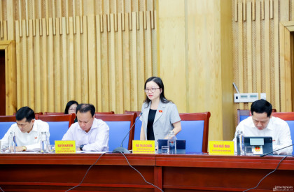 Đoàn đại biểu Quốc hội Nghệ An đề nghị UBND tỉnh tập trung giải quyết các kiến nghị kéo dài của cử tri