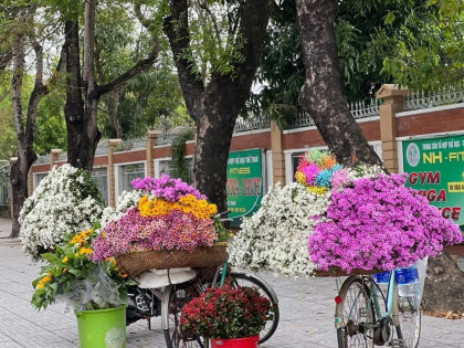TP. Vinh cho phép bán hoa dạo tại 2 địa điểm