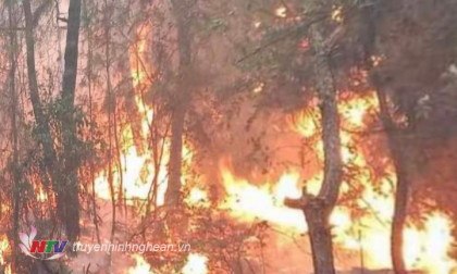 Xuyên đêm dập lửa khống chế đám cháy rừng ở Nam Đàn