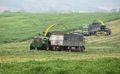 Nghệ An có 25 doanh nghiệp ứng dụng công nghệ cao trong sản xuất nông nghiệp