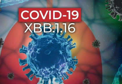 COVID-19 vẫn diễn biến khó lường, Bộ Y tế cảnh báo nguy cơ gia tăng ca mắc