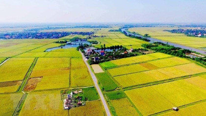 Điều kiện hỗ trợ đào tạo nghề, tìm kiếm việc làm khi thu hồi đất
