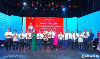2025 manh tay xu ly doanh nghiep tron dong cham dong bao hiem xa hoi 680615f9499d3