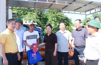 Đồng chí Võ Thị Minh Sinh kiểm tra công tác khắc phục thiệt hại do...
