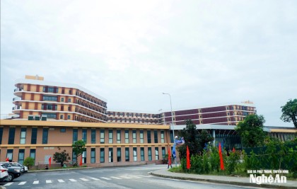Ban Thường vụ Tỉnh ủy Nghệ An định hướng sắp xếp đơn vị sự nghiệp công lập, trường học, cơ sở y tế trên địa bàn tỉnh