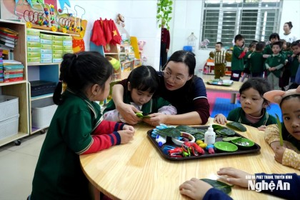 Nghệ An công bố danh sách thi tuyển giáo viên đợt 1/2026: Hơn 400 hồ sơ bị loại Mỹ Hà •