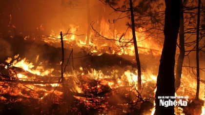 Nghệ An chỉ đạo tăng cường các biện pháp cấp bách phòng cháy, chữa...