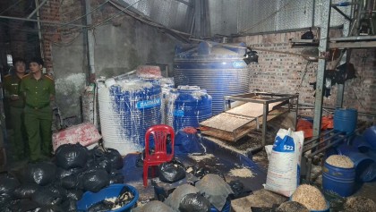 Hơn 500 tấn giá đỗ "ngậm" hóa chất độc hại đã bị tuồn ra thị trường