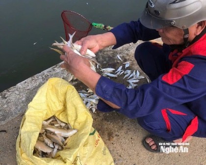 Sở Nông nghiệp và Môi trường báo cáo UBND tỉnh Nghệ An về hiện...