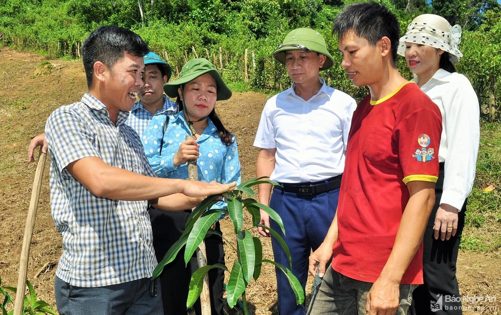 Trao tặng cây giống cho xã Xiêng My hỗ trợ bà con xóa vườn tạp, trồng cây ăn quả phát triển kinh tế hộ gia đình Ảnh Hoàng Vĩnh