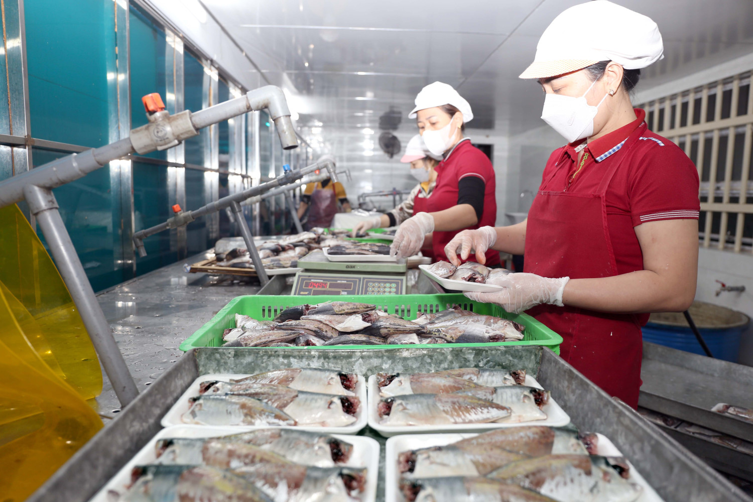 Ảnh 3 Khu vực chế biến các hải sản tươi của TNHH hải sản Sơn Huyền