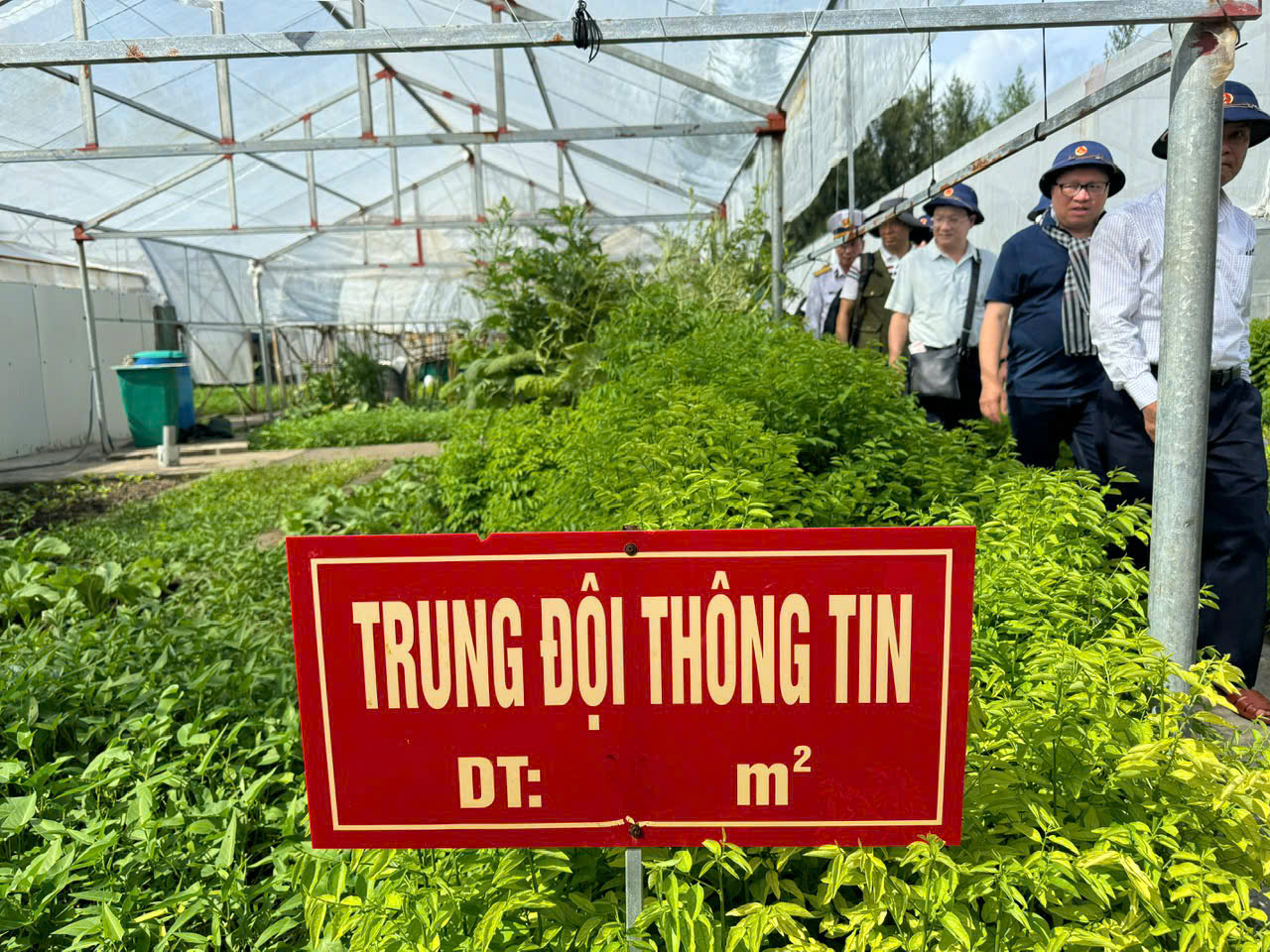 12 thăm vườn rau của bộ đội ở Đảo Sinh Tồn