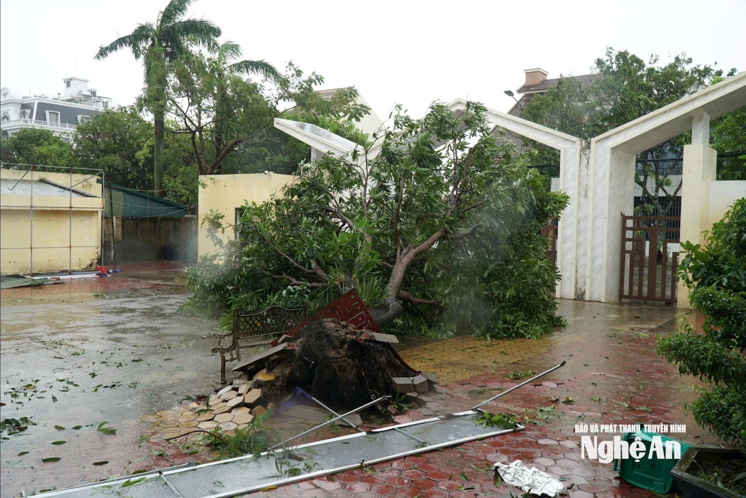 bna truong thcs dang thai mai