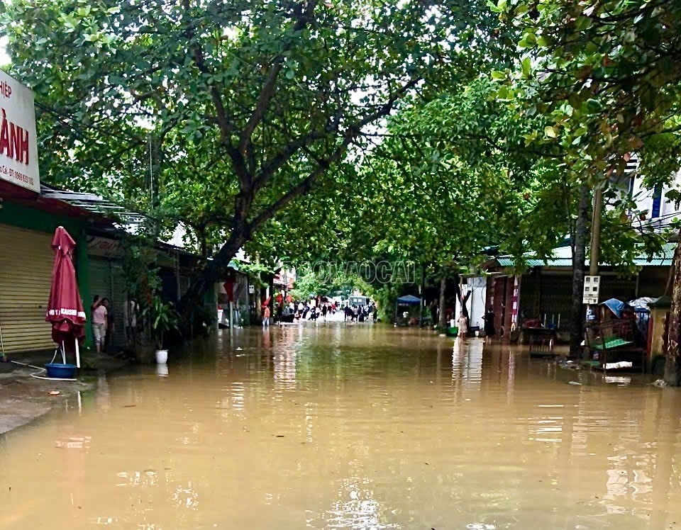 cdn baolaocai vn images a36bba936edb06a6363fa235f27bcc3223ca3103b2b9b36dc2511db362b1f10d49b2593186c89d2cab49523ef7bf275f baolaocai c img 7651