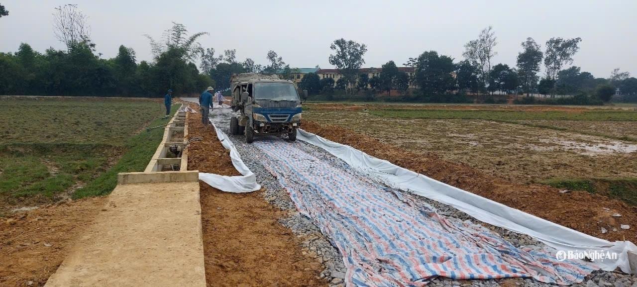 Phát triển giao thông nội đồng ở huyện Đô Lương